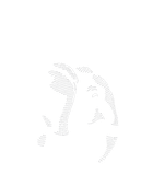 Tusker